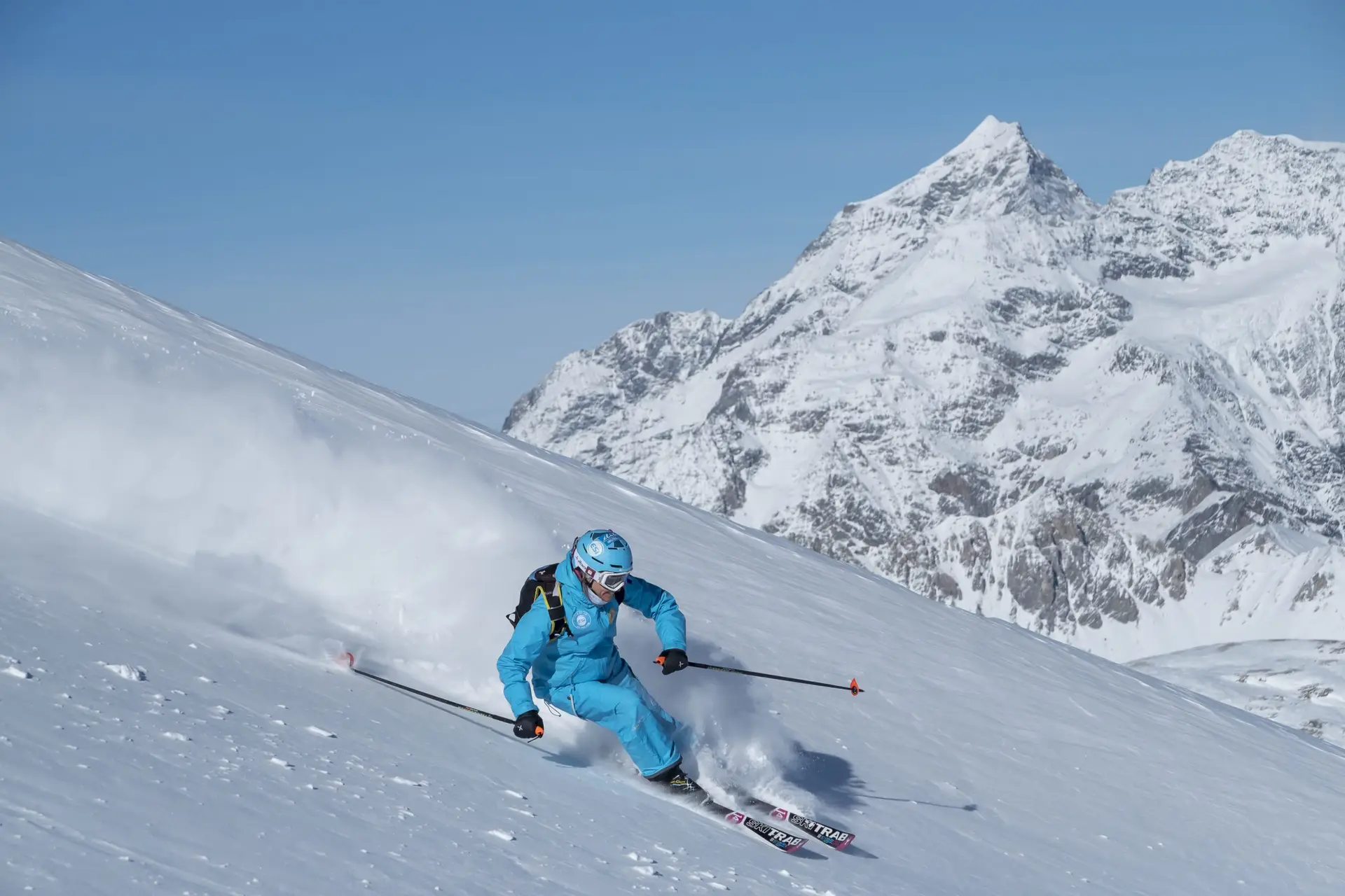 Forêt de pins en freeride