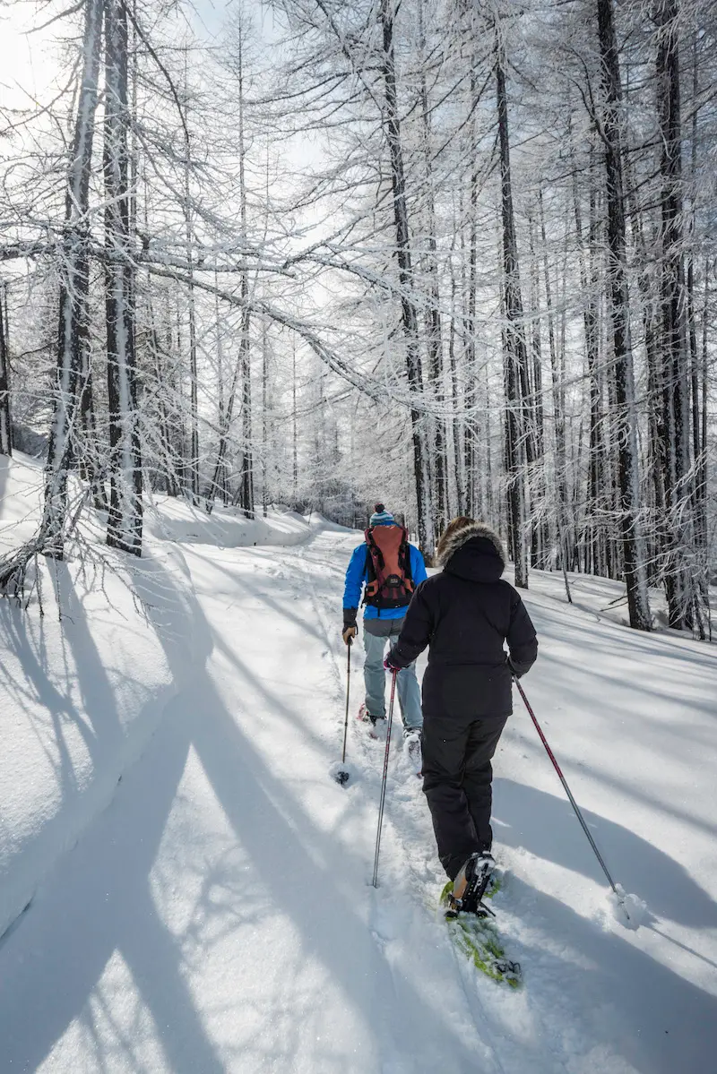 Randonneurs en raquettes sur le chemin de Compostelle, dominant les vallées enneigées de la Clarée et de la Durance