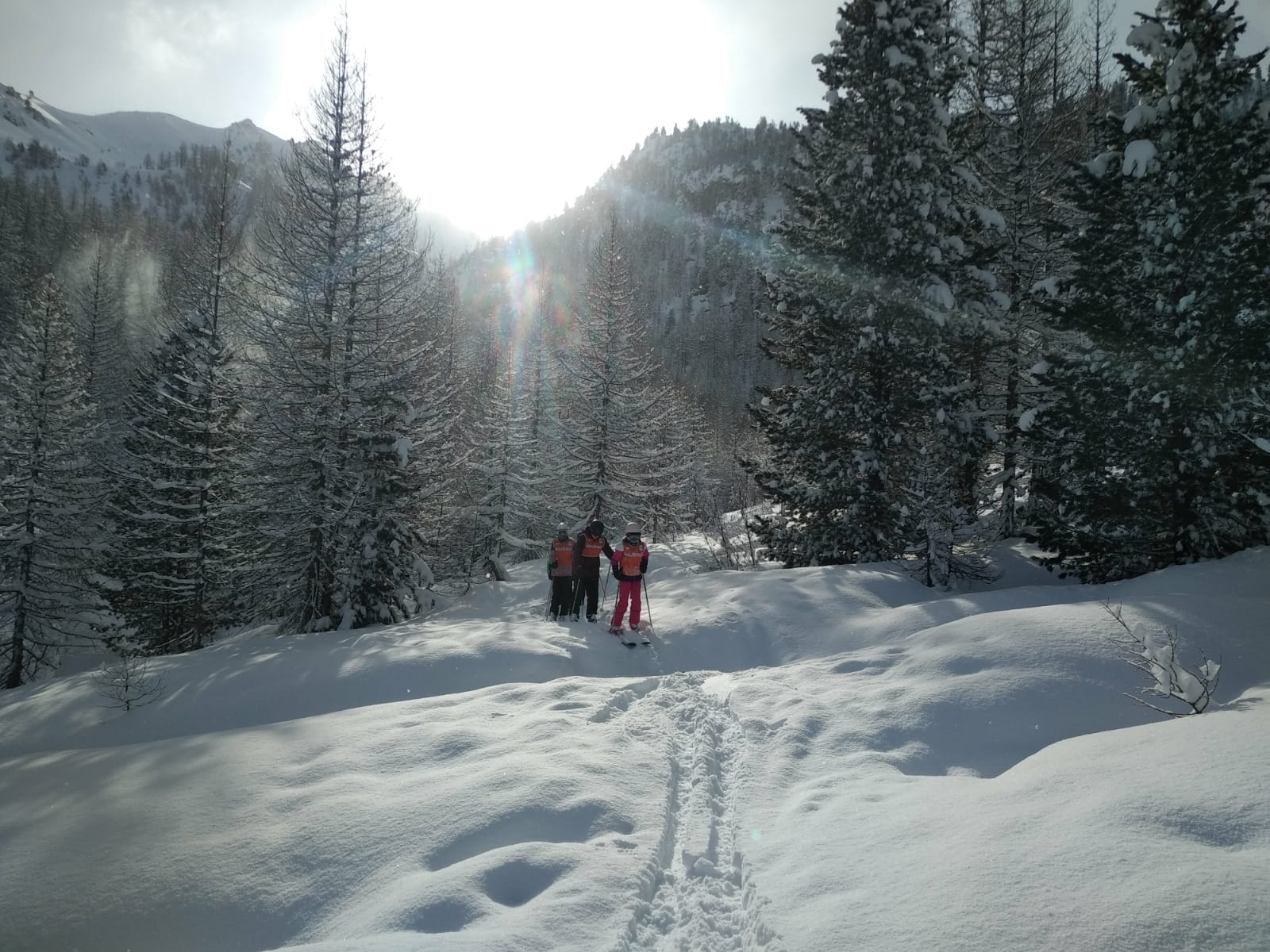 Safety gear for freeride courses